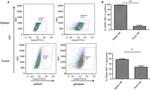 NK1.1 Antibody in Flow Cytometry (Flow)