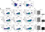 CD335 (NKp46) Antibody in Flow Cytometry (Flow)