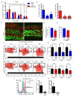 CD24 Antibody in Flow Cytometry (Flow)