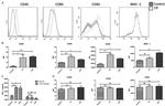 CD83 Antibody in Flow Cytometry (Flow)