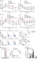 CD8a Antibody in Flow Cytometry (Flow)