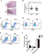 CD19 Antibody in Flow Cytometry (Flow)