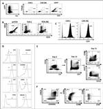 CD3 Antibody in Flow Cytometry (Flow)