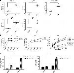 NK1.1 Antibody in Flow Cytometry (Flow)