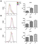 CD83 Antibody in Flow Cytometry (Flow)