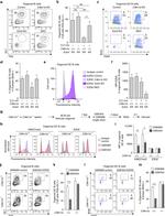 CD45R (B220) Antibody in Flow Cytometry (Flow)