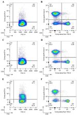 CD8a Antibody in Flow Cytometry (Flow)