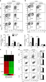 IL-17A Antibody in Flow Cytometry (Flow)