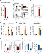 IL-13 Antibody in Flow Cytometry (Flow)