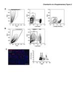 TER-119 Antibody in Flow Cytometry (Flow)