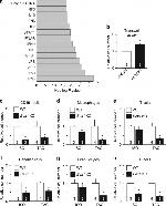 CD11c Antibody in Flow Cytometry (Flow)