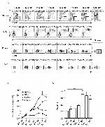 Ly-6G/Ly-6C Antibody in Flow Cytometry (Flow)