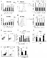 HLA-DR Antibody in Flow Cytometry (Flow)