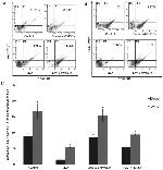 IL-17A Antibody in Flow Cytometry (Flow)