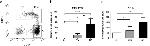 CD14 Antibody in Flow Cytometry (Flow)