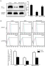 CD127 Antibody in Flow Cytometry (Flow)