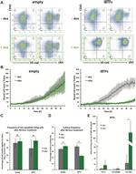 CD144 (VE-cadherin) Antibody in Flow Cytometry (Flow)