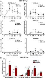 CD8a Antibody in Flow Cytometry (Flow)