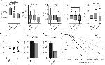 CD45R (B220) Antibody in Flow Cytometry (Flow)