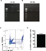 CD140a (PDGFRA) Antibody in Flow Cytometry (Flow)