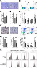 CD28 Antibody in Flow Cytometry (Flow)