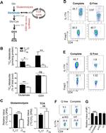 IL-17A Antibody in Flow Cytometry (Flow)