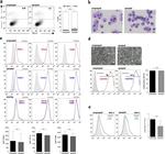 CD45.1 Antibody in Flow Cytometry (Flow)