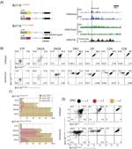 CD8a Antibody in Flow Cytometry (Flow)