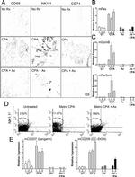 NK1.1 Antibody in Flow Cytometry (Flow)