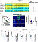 CD4 Antibody in Flow Cytometry (Flow)