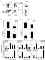 CD144 (VE-cadherin) Antibody in Flow Cytometry (Flow)