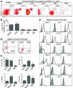 CD4 Antibody in Flow Cytometry (Flow)