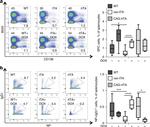 CD45R (B220) Antibody in Flow Cytometry (Flow)