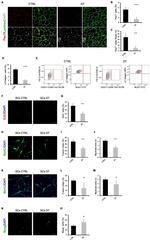 Ly-6A/E (Sca-1) Antibody in Flow Cytometry (Flow)