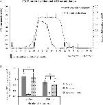 CD39 Antibody in Flow Cytometry (Flow)