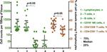 CD16 Antibody in Flow Cytometry (Flow)