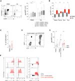 CD28 Antibody in T-Cell Activation (TCA)