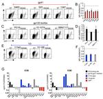 CD4 Antibody in Flow Cytometry (Flow)