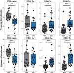 CD4 Antibody in Flow Cytometry (Flow)