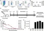 CD45 Antibody in Flow Cytometry (Flow)