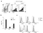 CD40 Antibody in Flow Cytometry (Flow)