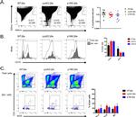 CD45R (B220) Antibody in Flow Cytometry (Flow)