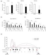 H3K27ac Antibody in ChIP Assay (ChIP)