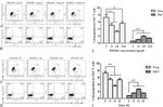 CD127 Antibody in Flow Cytometry (Flow)