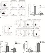 CD4 Antibody in Flow Cytometry (Flow)