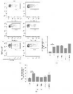 MHC Class II (I-A/I-E) Antibody in Flow Cytometry (Flow)