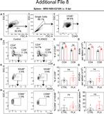 CD69 Antibody in Flow Cytometry (Flow)