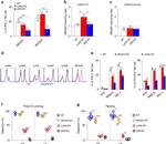 CD335 (NKp46) Antibody in Flow Cytometry (Flow)