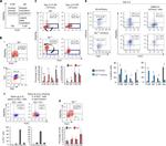 CD140a (PDGFRA) Antibody in Flow Cytometry (Flow)