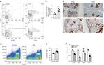 Ly-6A/E (Sca-1) Antibody in Flow Cytometry (Flow)